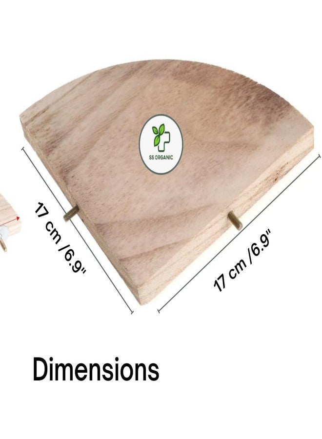 حامل خشبي طبيعي من SS Organic®، على شكل مروحة، مخصص للطيور، مناسب للببغاء، الكوكاتيل، الببغاء الرمادي الأفريقي، والهامستر، والحيوانات الصغيرة. - Image 2
